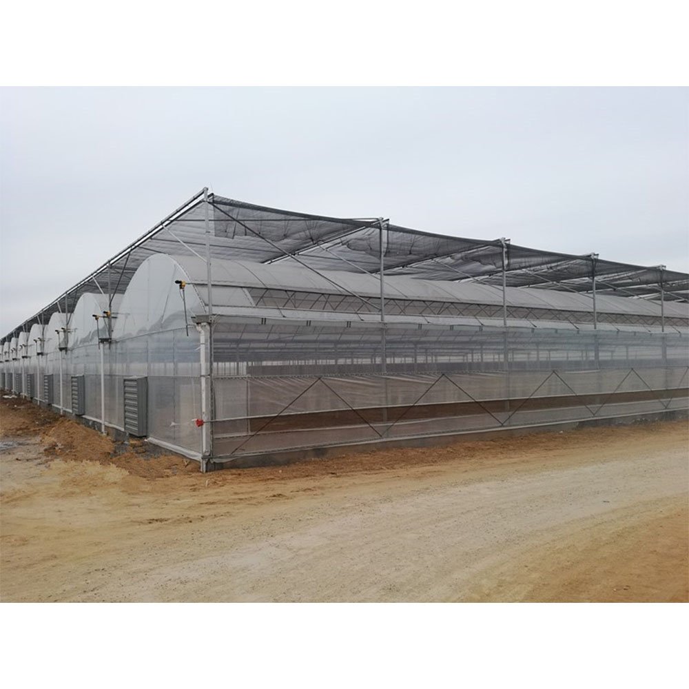 Multi-Span Industrial Agricultural Greenhouses Type And Plastic Coated Cover Material Farming Growing Greenhouse
