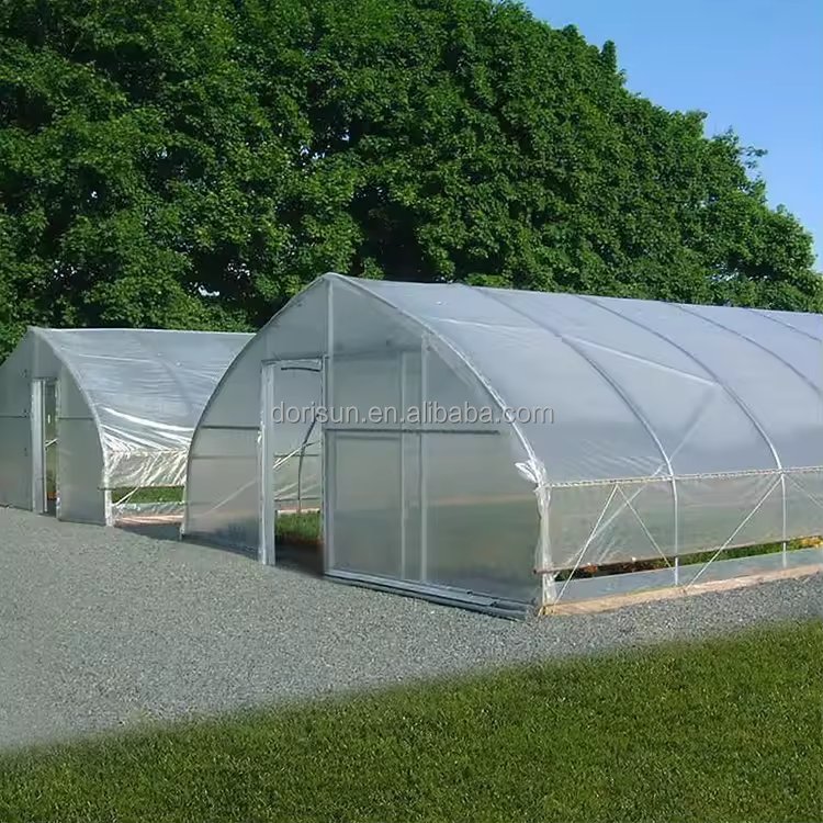 High Quality Agriculture Low Cost Single Span Tunnel Greenhouse For Tomato Vegetables Growing
