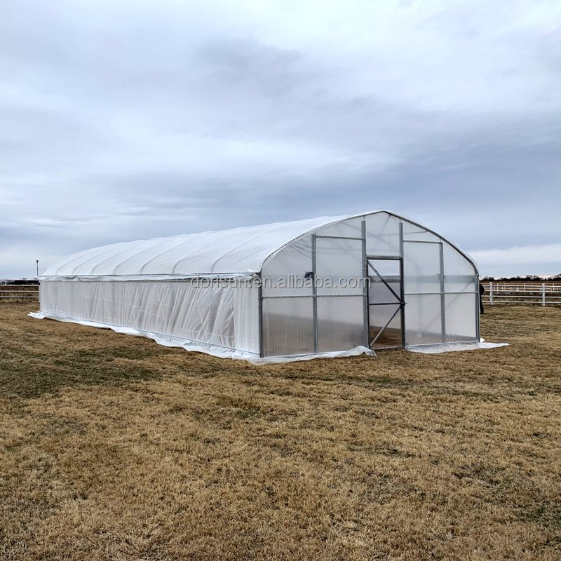 High Quality Agriculture Low Cost Single Span Tunnel Greenhouse For Tomato Vegetables Growing