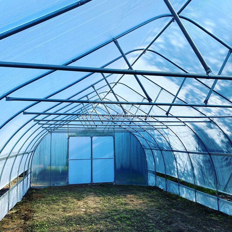 High Quality Agriculture Low Cost Single Span Tunnel Greenhouse For Tomato Vegetables Growing