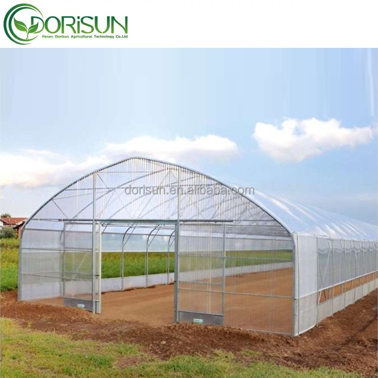 High Quality Agriculture Low Cost Single Span Tunnel Greenhouse For Tomato Vegetables Growing