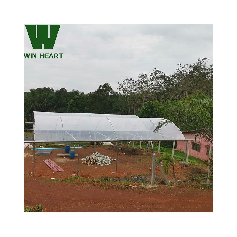 Rain Shelter Metal Frame Shedhouse shadehouse Greenhouse Multi-span large Animal Green house