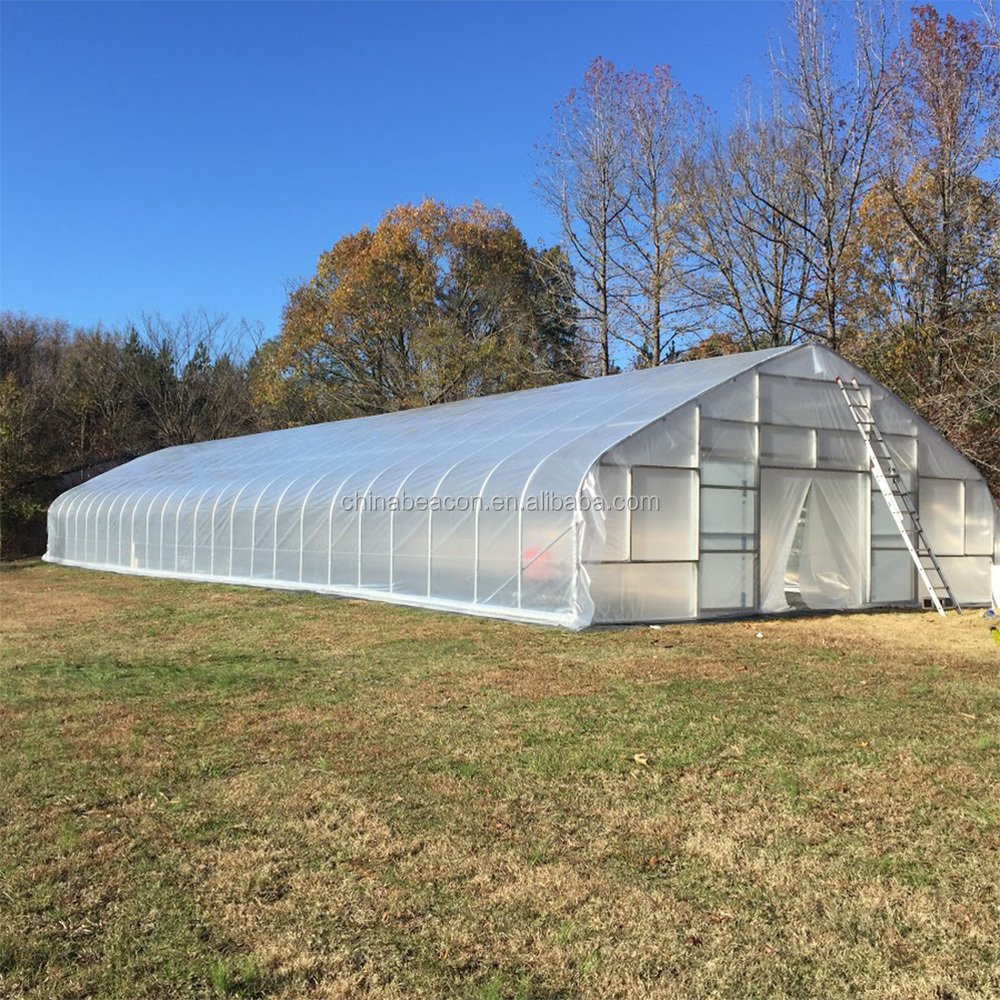 Agricultural and commercial tunnel greenhouses with hydroponics growing system green house