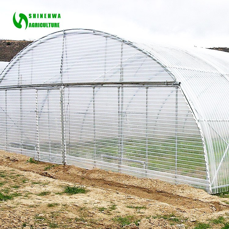 Agricultural and commercial tunnel greenhouses with hydroponics growing system green house