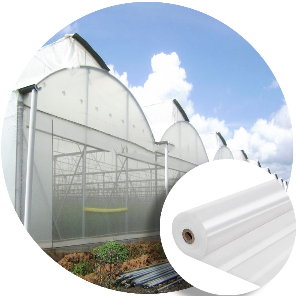 Low Cost Agricultural Greenhouse Plastic Film Polycarbonate for Tunnel Greenhouse