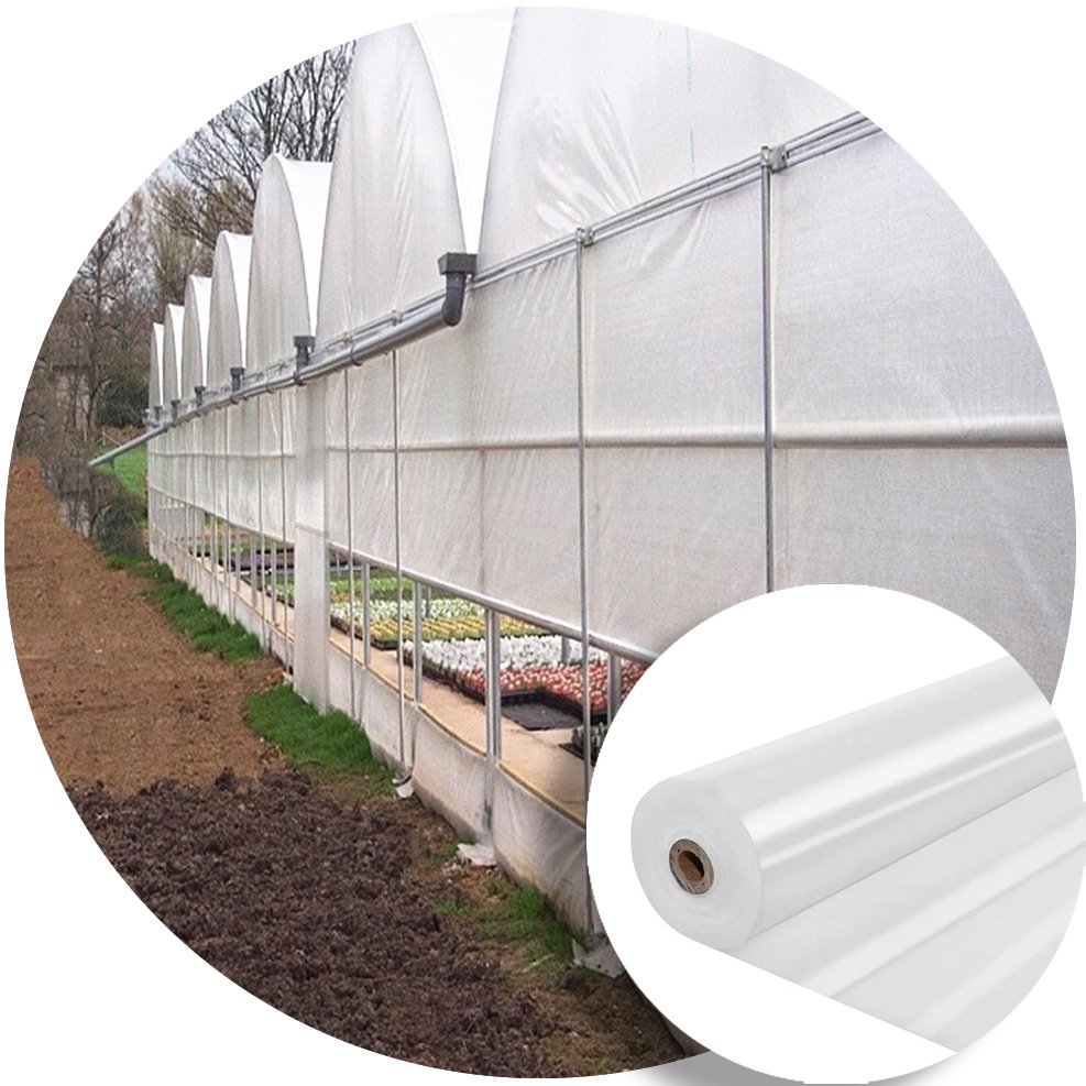 Low Cost Agricultural Greenhouse Plastic Film Polycarbonate for Tunnel Greenhouse