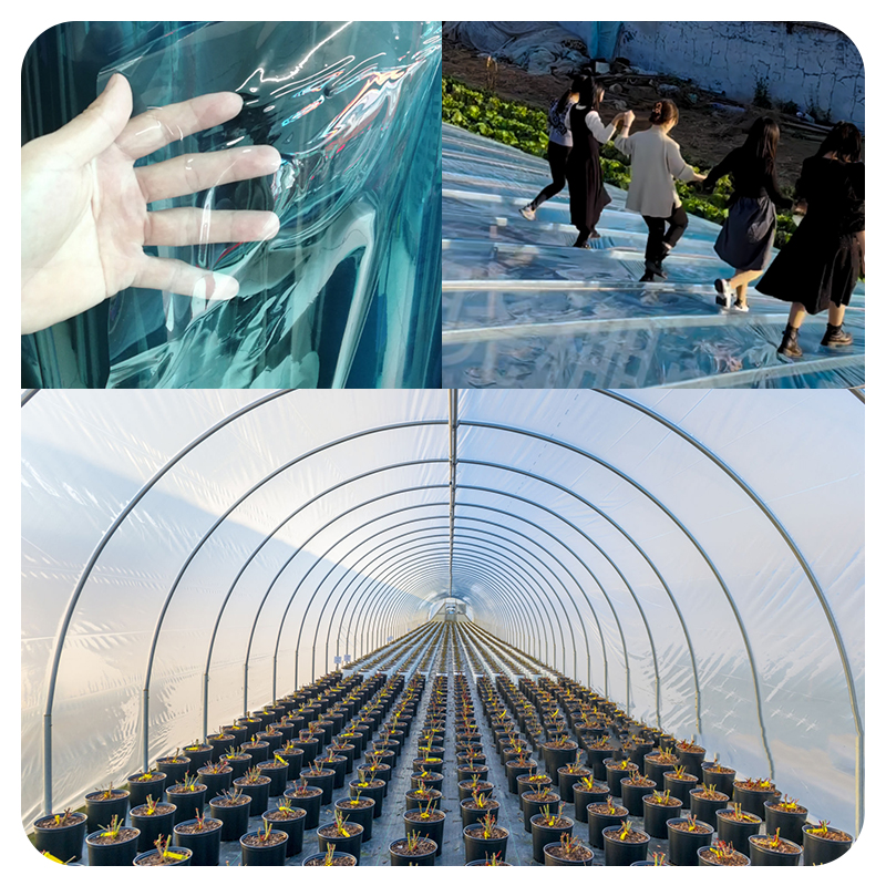 Low Cost Agricultural Greenhouse Plastic Film Polycarbonate for Tunnel Greenhouse