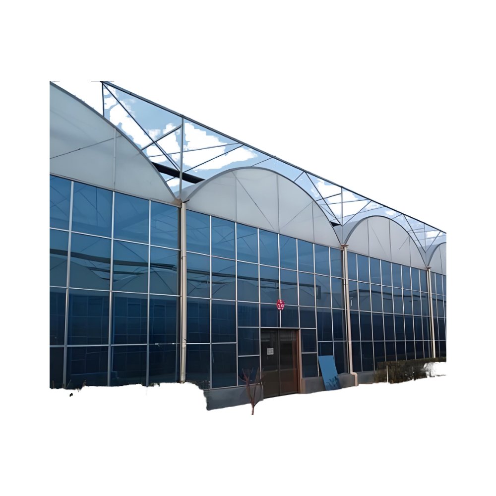 With Tomato and Fruit Made of Film Plastic Steel Glass for Plant Usage Customizable Large Agricultural Multi-span Greenhouse