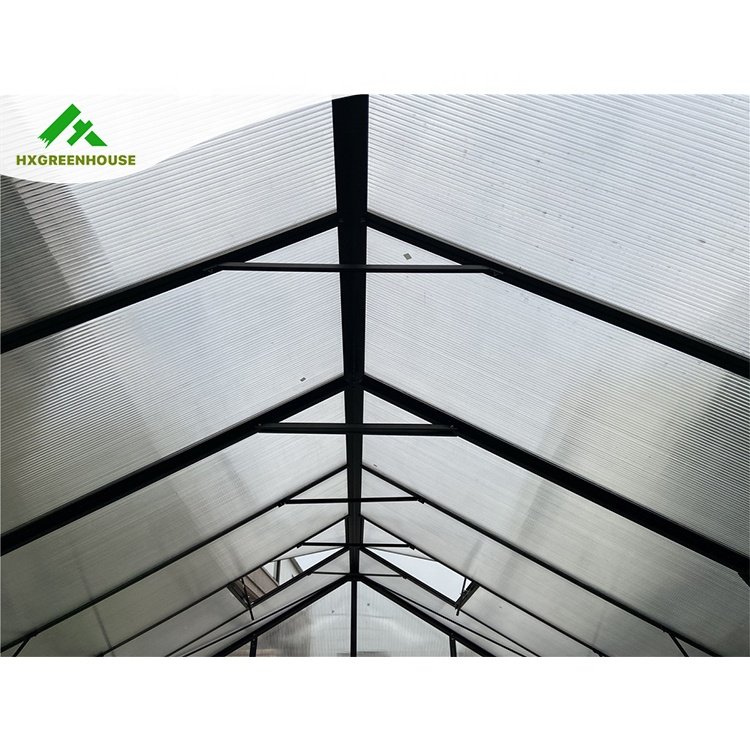 Hot sale 10mm polycarbonate huixin green houses aluminum frame house other greenhouses garden greenhouse