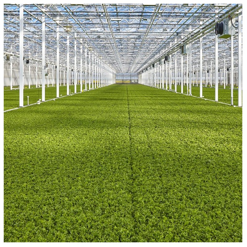 Agricultural Greenhouse Indoor Hydroponic System Flood Trays Ebb Flow Grow Table Rolling Benches