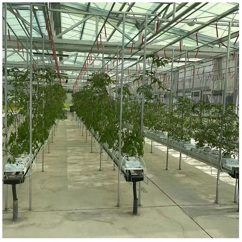 Agricultural Greenhouse Indoor Hydroponic System Flood Trays Ebb Flow Grow Table Rolling Benches