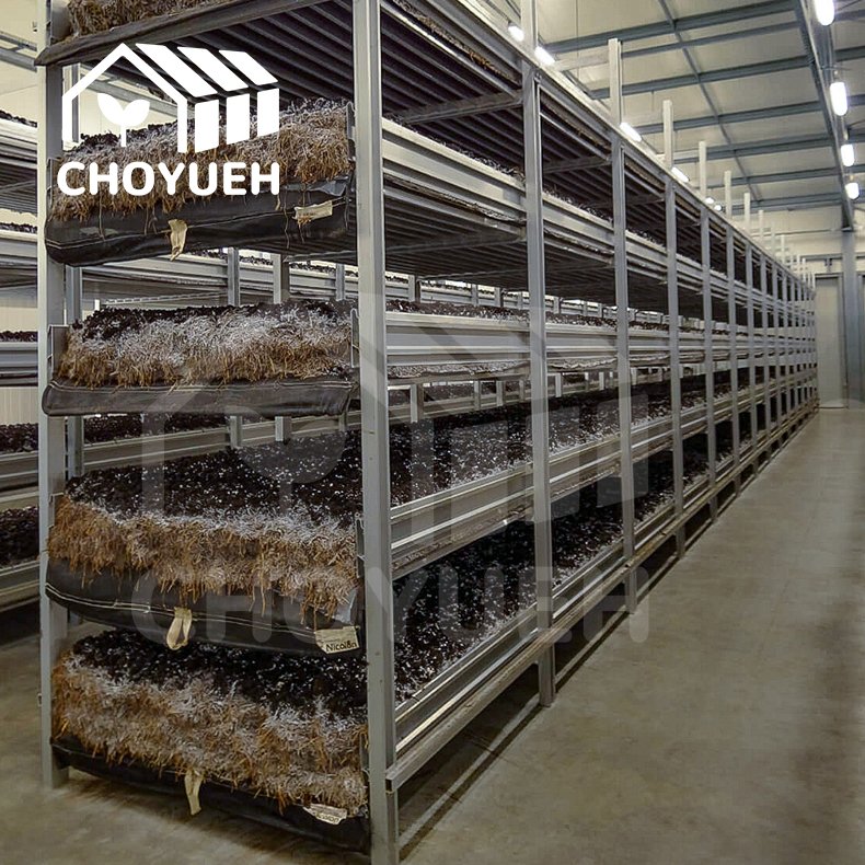 CHOYUEH Agricultural Grow Rack System Horticulture Vertical Grow Rack With Adjustable Layers For Sale