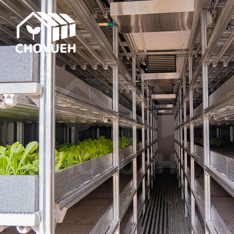 CHOYUEH Agricultural Grow Rack System Horticulture Vertical Grow Rack With Adjustable Layers For Sale