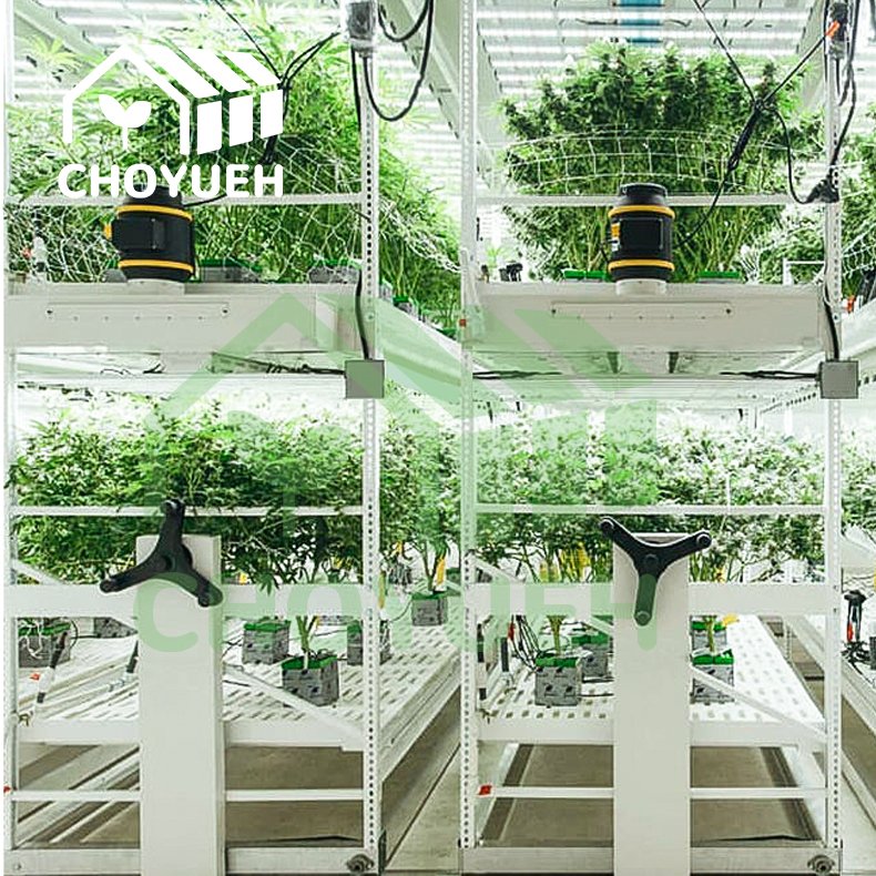 CHOYUEH Agricultural Grow Rack System Horticulture Vertical Grow Rack With Adjustable Layers For Sale