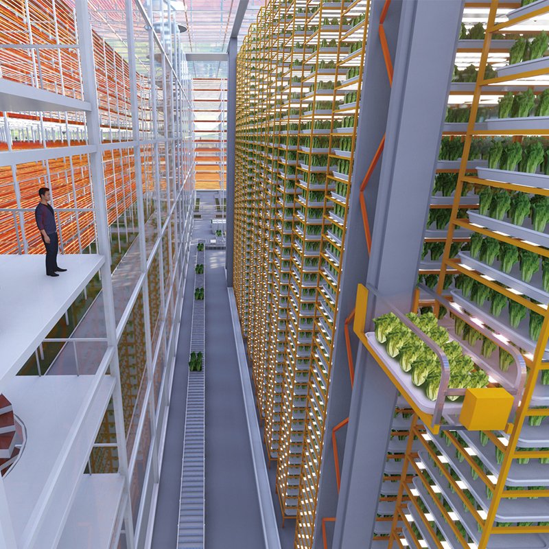 Multi-span Glass Greenhouses Hydroponic Vertical Farming Agricultural Greenhouses