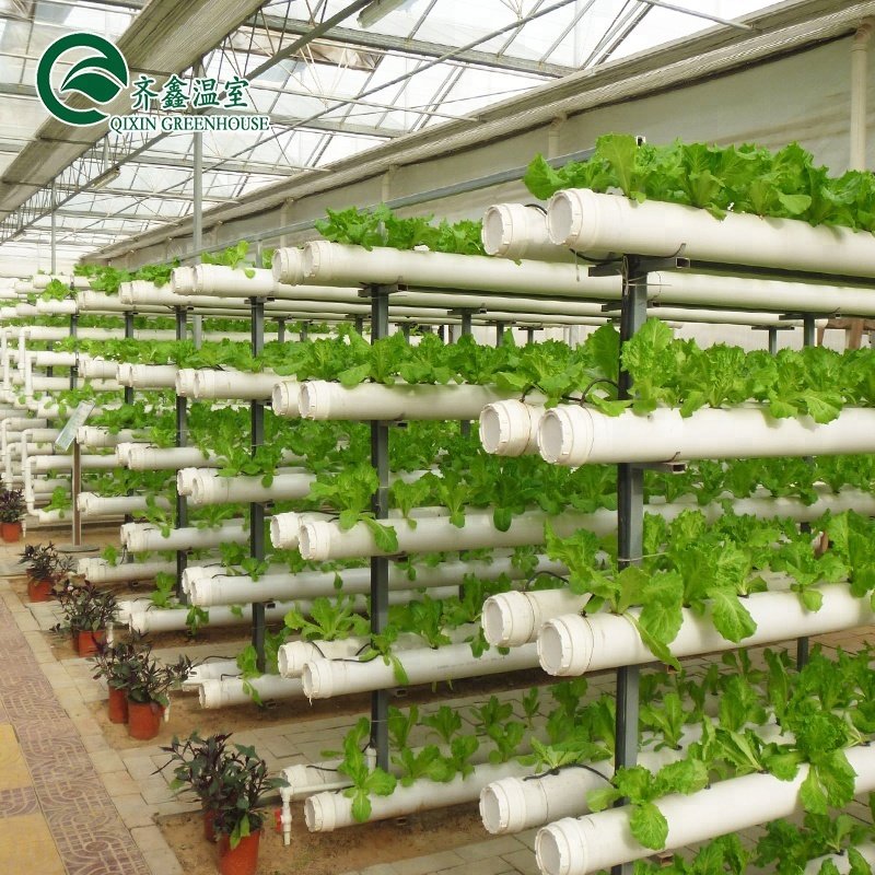 A-type hydroponics system in multi-span greenhouse