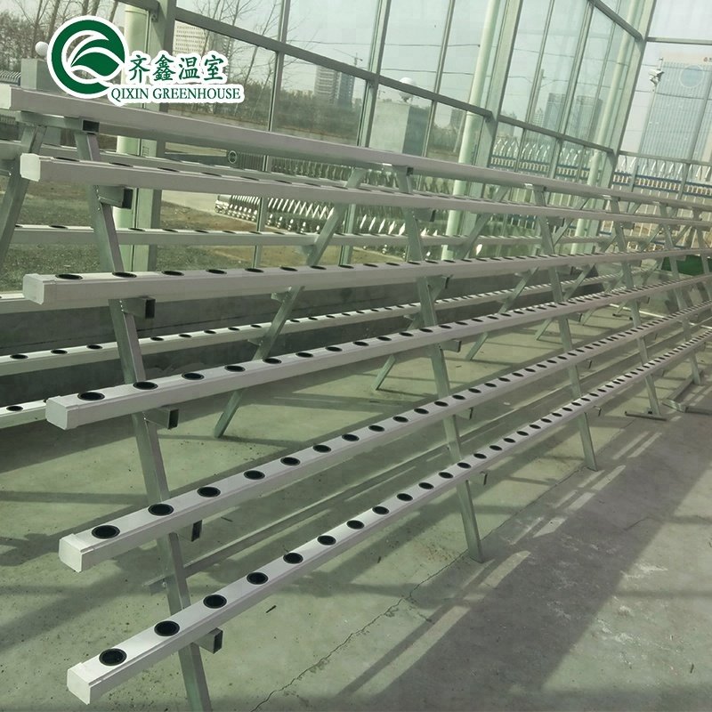 A-type hydroponics system in multi-span greenhouse