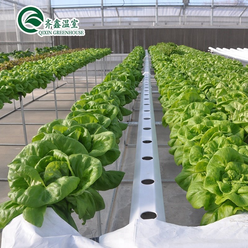 A-type hydroponics system in multi-span greenhouse