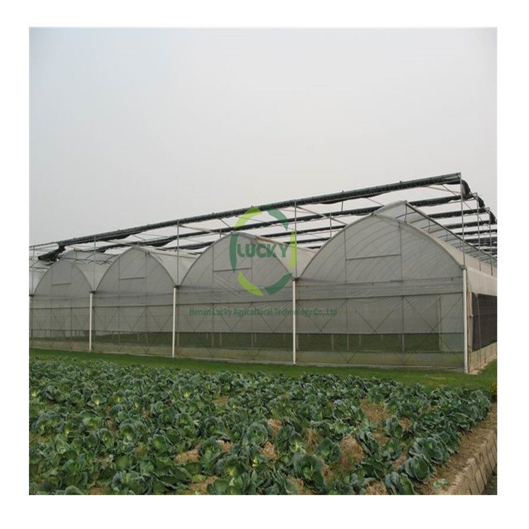 Agricultural Multi-Span High Tunnel Green House Equipment Modular Roll Up Motor Polyethylene Sheets Plastic Greenhouse