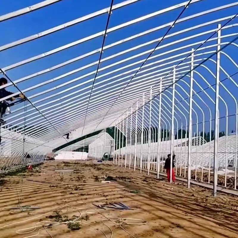 Winter Vegetable Planting Heating System Hydroponic Feature PE Plastic Material Agriculture Customizable Large Solar Greenhouse