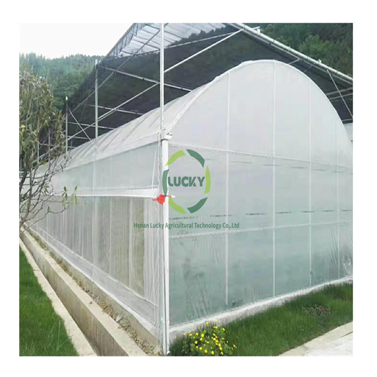 China Supplier Hurricane Proof Green House Plastic Multi-Span Commercial Agricultural Greenhouses Used Sale