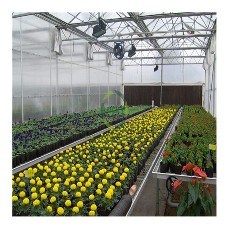 China Supplier Hurricane Proof Green House Plastic Multi-Span Commercial Agricultural Greenhouses Used Sale