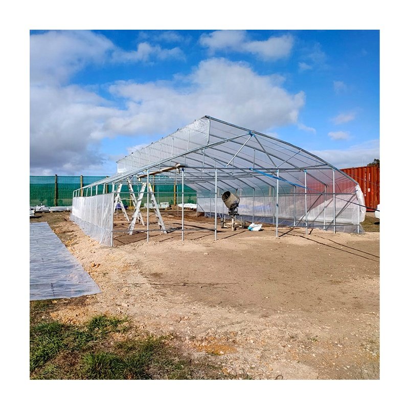 Greenhouse for Agriculture victorian greenhouse growing equipment