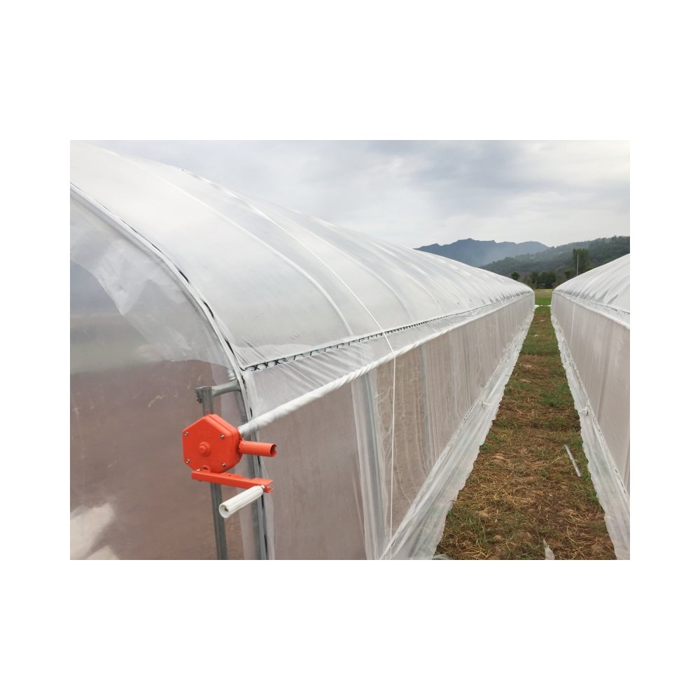 Hot Selling Custom Poly Tunnel Single-Span Greenhouse Sawtooth Design for Tomato Planting for Agricultural Use Green house