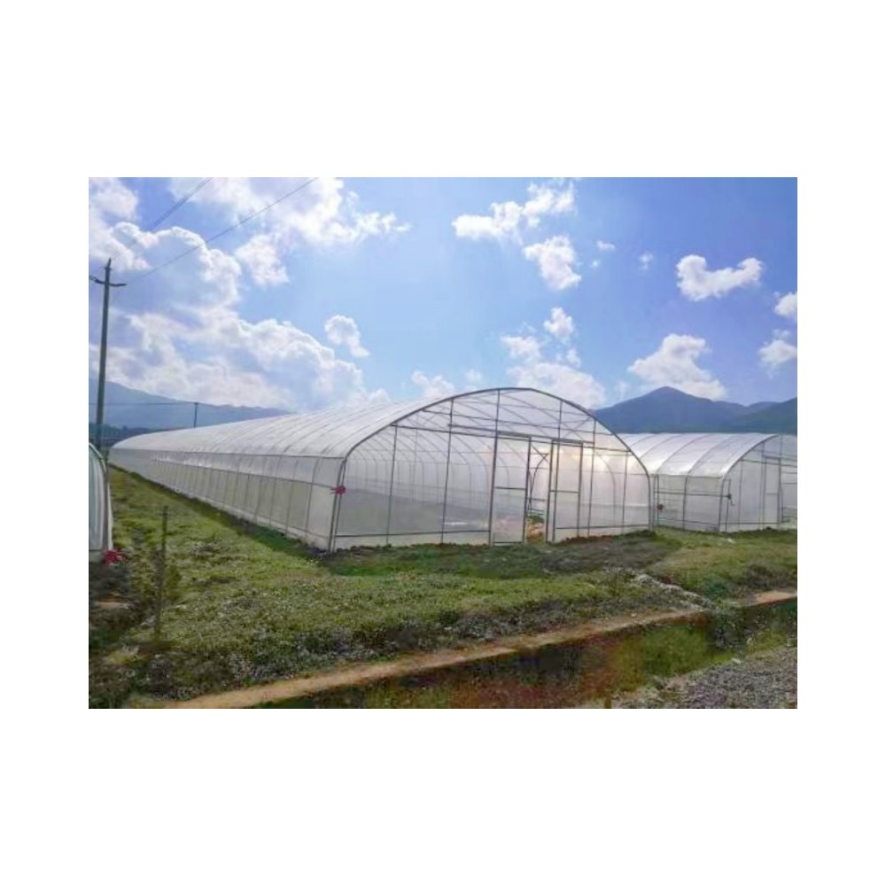 Hot Selling Custom Poly Tunnel Single-Span Greenhouse Sawtooth Design for Tomato Planting for Agricultural Use Green house