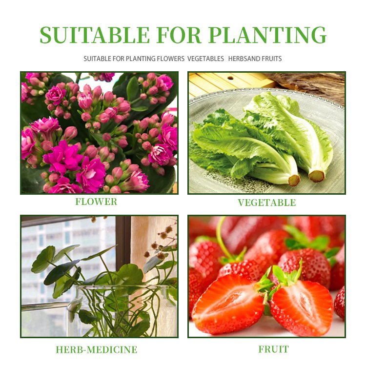New Agricultural Greenhouse Indoor Plant Garden Growing Systems Vertical Hydroponic tower vertical garden systems
