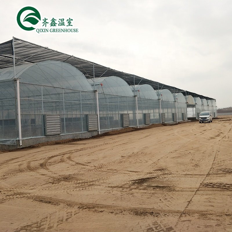 polytunnel agricultural Greenhouse with hydroponics system