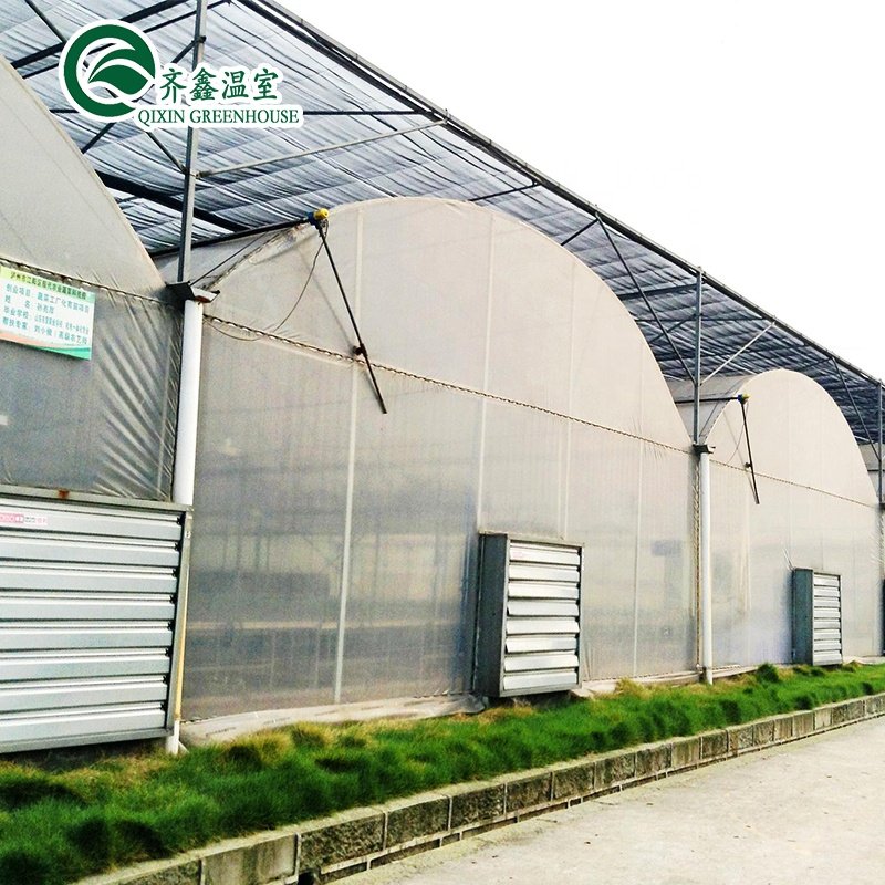 polytunnel agricultural Greenhouse with hydroponics system