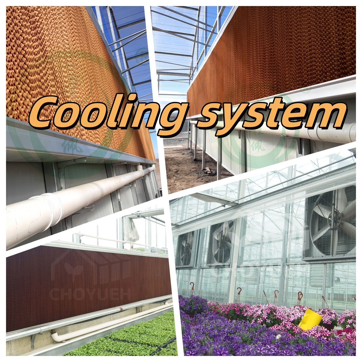CHOYUEH Good Quality Professional Design Hot dip Galvanized Steel greenhouse for farms gardens greenhouse