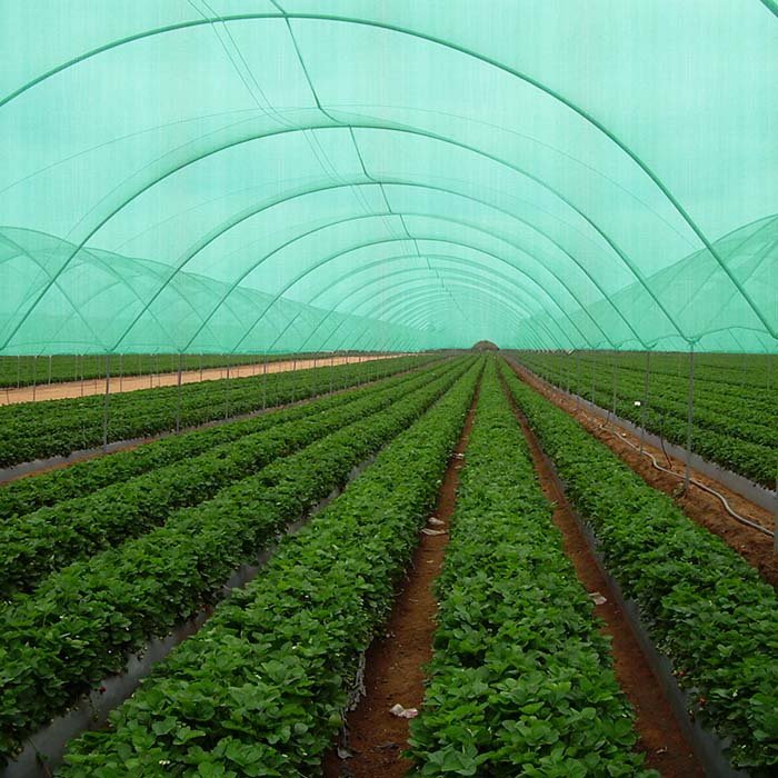 HDPE 40% shade to 80% shading Green Agriculture Shade net / Sun shade netting for greenhouse