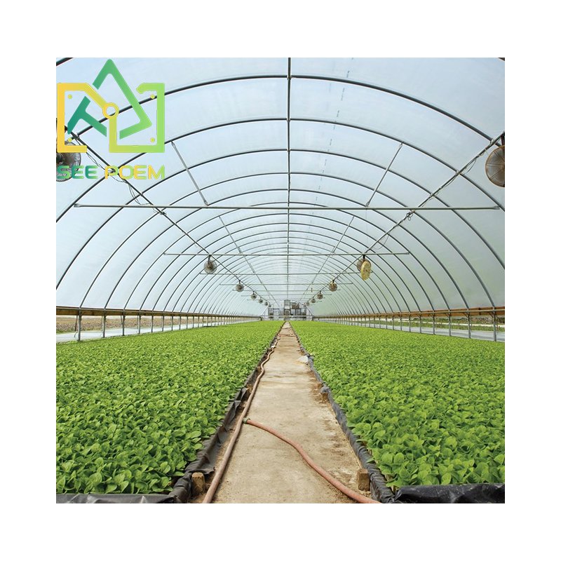 Seepoem agricultural equipment farm double arch insulated modern mushroom growing pc board tunnel greenhouse