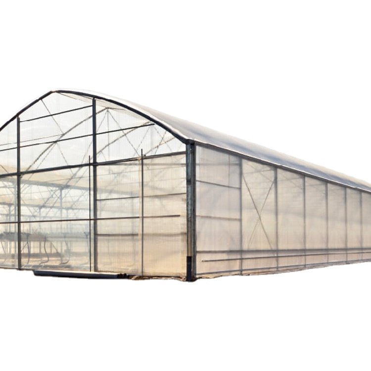 Seepoem agricultural equipment farm double arch insulated modern mushroom growing pc board tunnel greenhouse