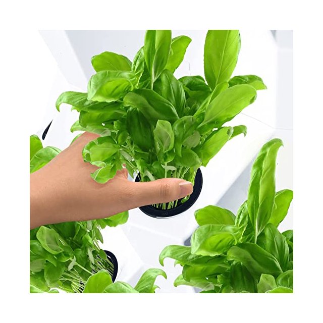 Greenhouse Vertical Hydroponics Food Grade ABS Tower Garden Growing System Pineapple Tower