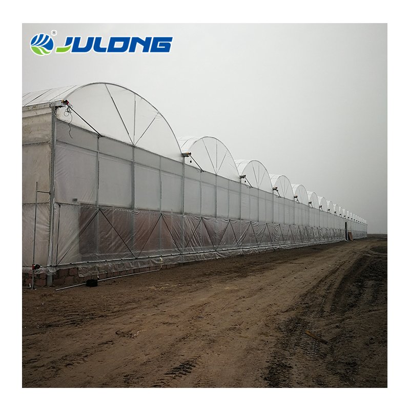 Hot Sale Agricultural Greenhouses Vertical Farming Vegetables Hydroponic System Multi Span Tunnel Plastic Film Greenhouse