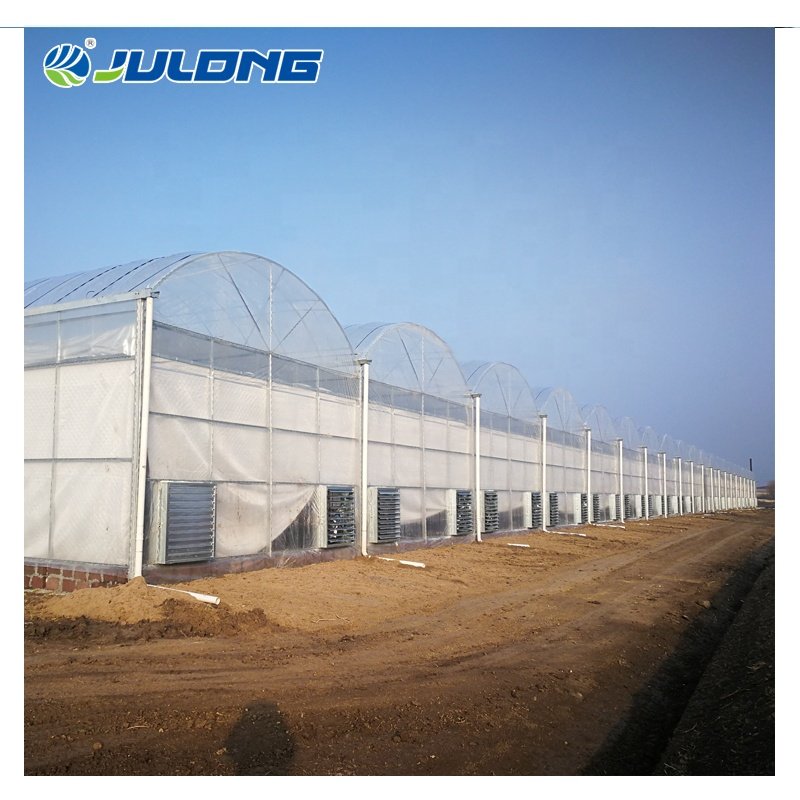 Hot Sale Agricultural Greenhouses Vertical Farming Vegetables Hydroponic System Multi Span Tunnel Plastic Film Greenhouse