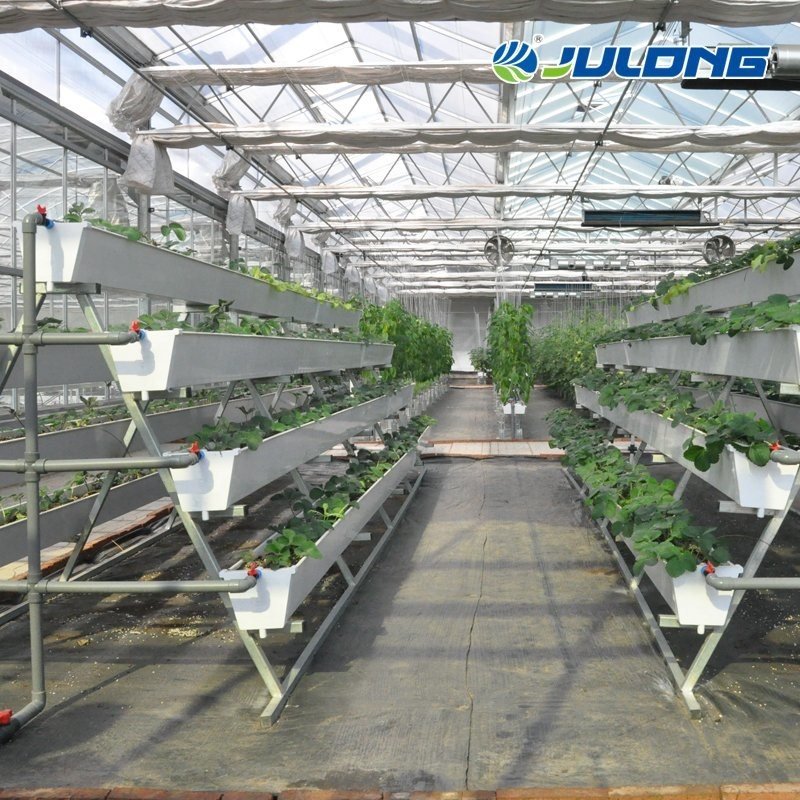 Hot Sale Agricultural Greenhouses Vertical Farming Vegetables Hydroponic System Multi Span Tunnel Plastic Film Greenhouse