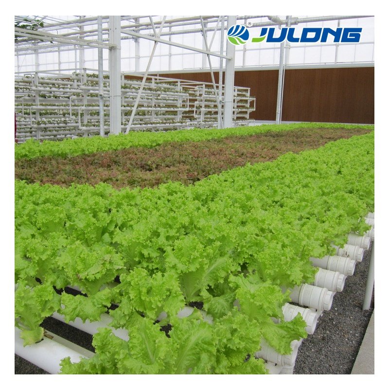 Hot Sale Agricultural Greenhouses Vertical Farming Vegetables Hydroponic System Multi Span Tunnel Plastic Film Greenhouse