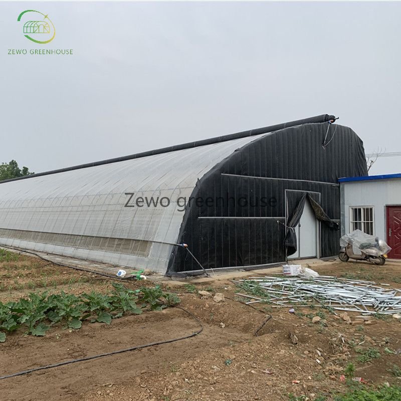 Vegetables growing hoop house single span agricultural greenhouse tunneling for hot sale