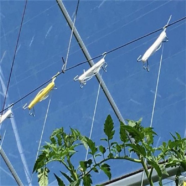 Agriculture Greenhouse Hanging Tomato Hook Tomato Hook with Twine