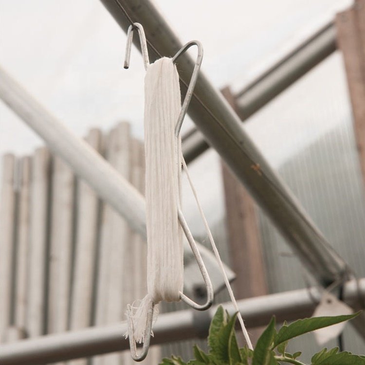 Agriculture Greenhouse Hanging Tomato Hook Tomato Hook with Twine