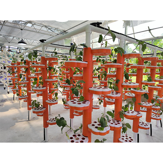 Agricultural Indoor Seeding Soilless Cultivation NFT Hydroponic Channel Grow System In PVC Pipe For Grow