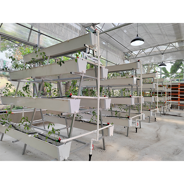 Agricultural Indoor Seeding Soilless Cultivation NFT Hydroponic Channel Grow System In PVC Pipe For Grow