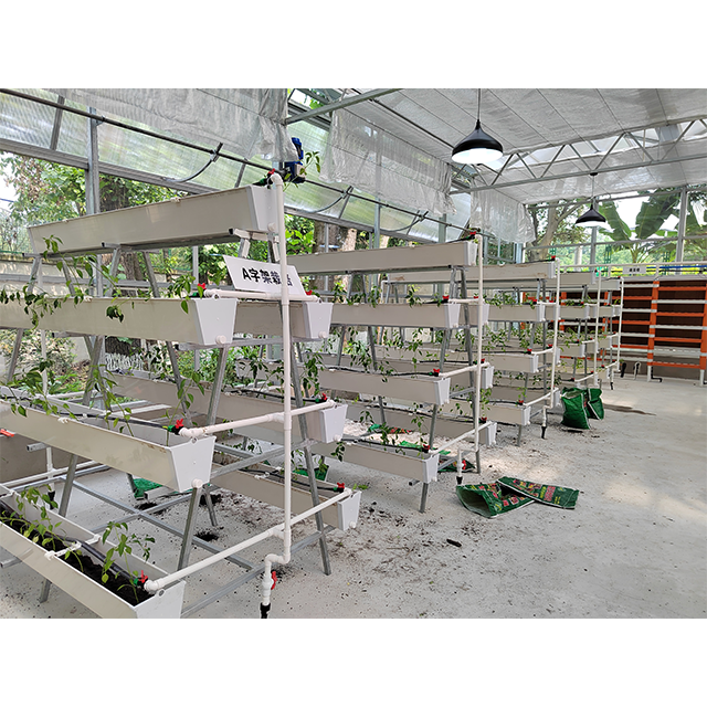 Agricultural Indoor Seeding Soilless Cultivation NFT Hydroponic Channel Grow System In PVC Pipe For Grow