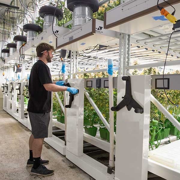 HIGH DENSITY VERTICAL GROWING SYSTEM