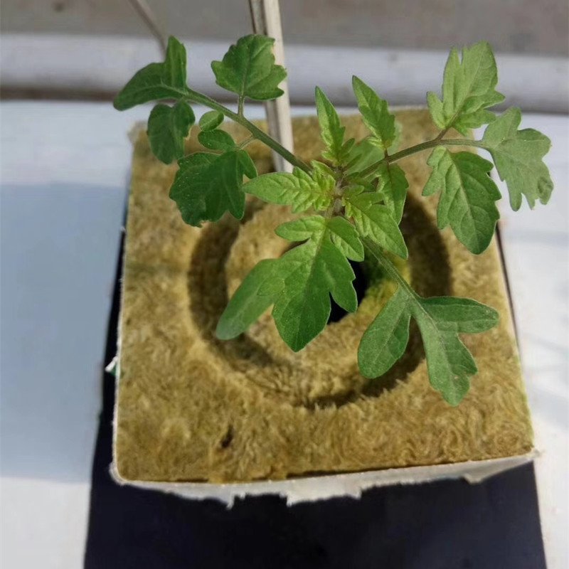 Hydroponic Rock Wool 4"x4"x4" Grow Cubes For Plant Growing Cubes