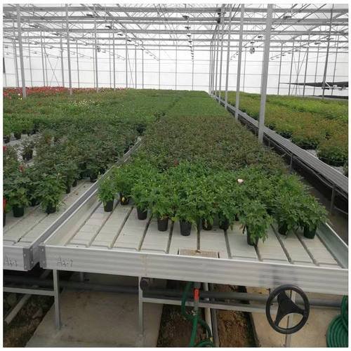 Agricultural Greenhouses rolling bench grow tables 4x8 flood table Ebb and flow tables hydroponic system